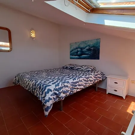 Da Gale 알부페이라